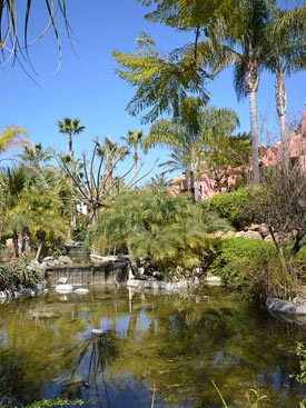 The tropical gardens at Menara Beach, Estepona 